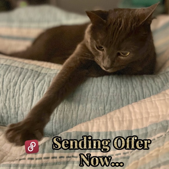 Please Share Kylo Wants To Send You His Best Offer - Picture 4 of 4